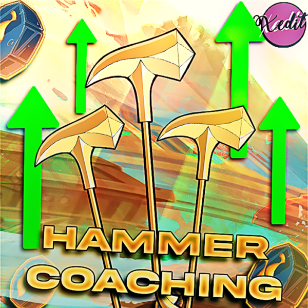 Hammer Coaching